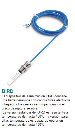 BIRD con texto